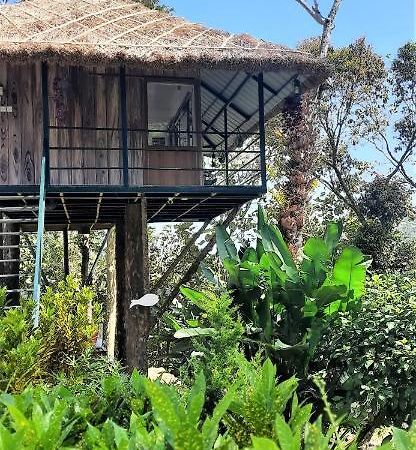 Apartmán Noah'S Nest Tree House Thekkady Exteriér fotografie