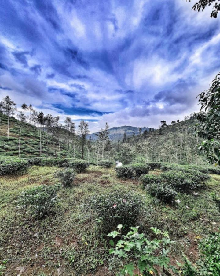 Apartmán Noah'S Nest Tree House Thekkady Exteriér fotografie