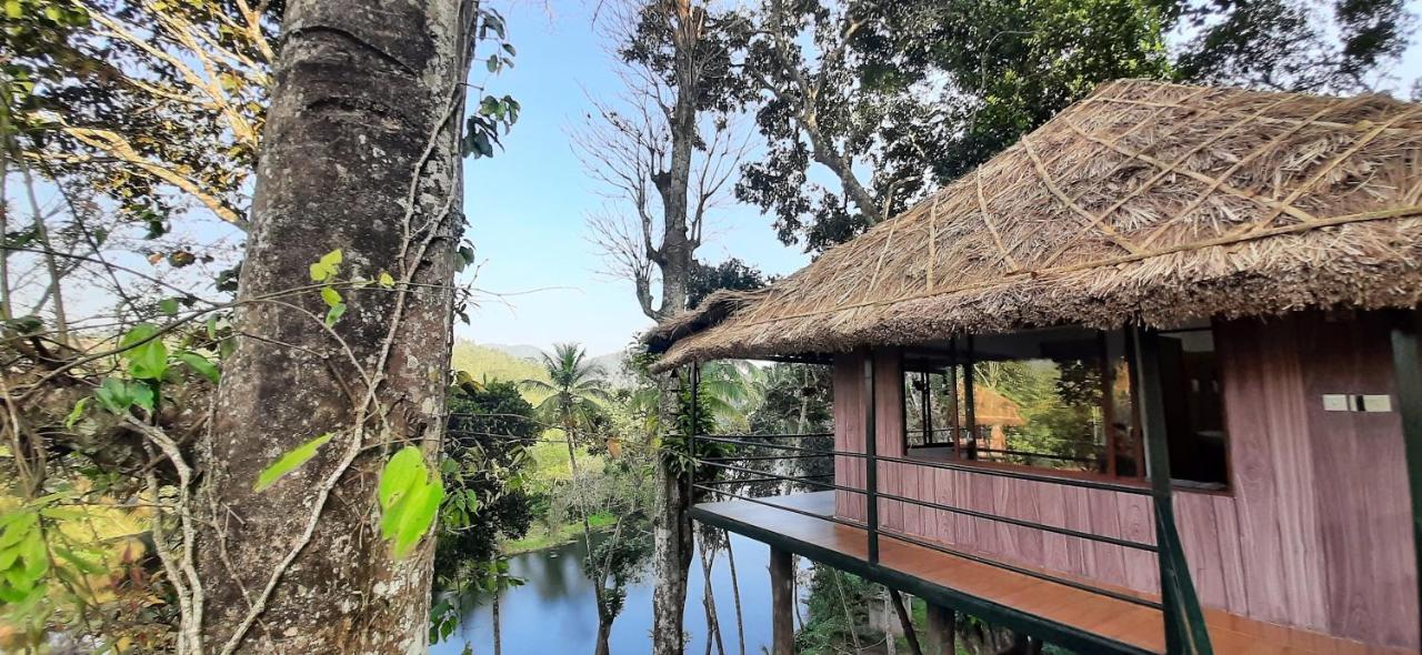 Apartmán Noah'S Nest Tree House Thekkady Exteriér fotografie