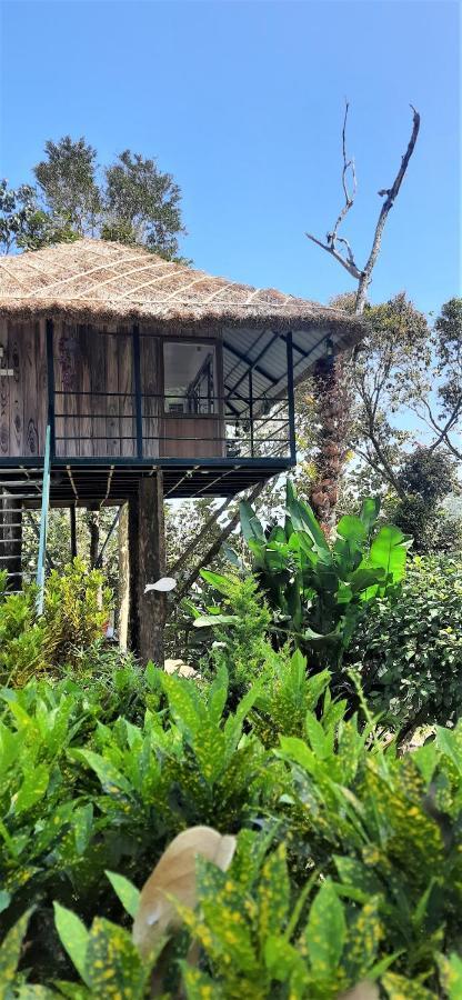 Apartmán Noah'S Nest Tree House Thekkady Exteriér fotografie