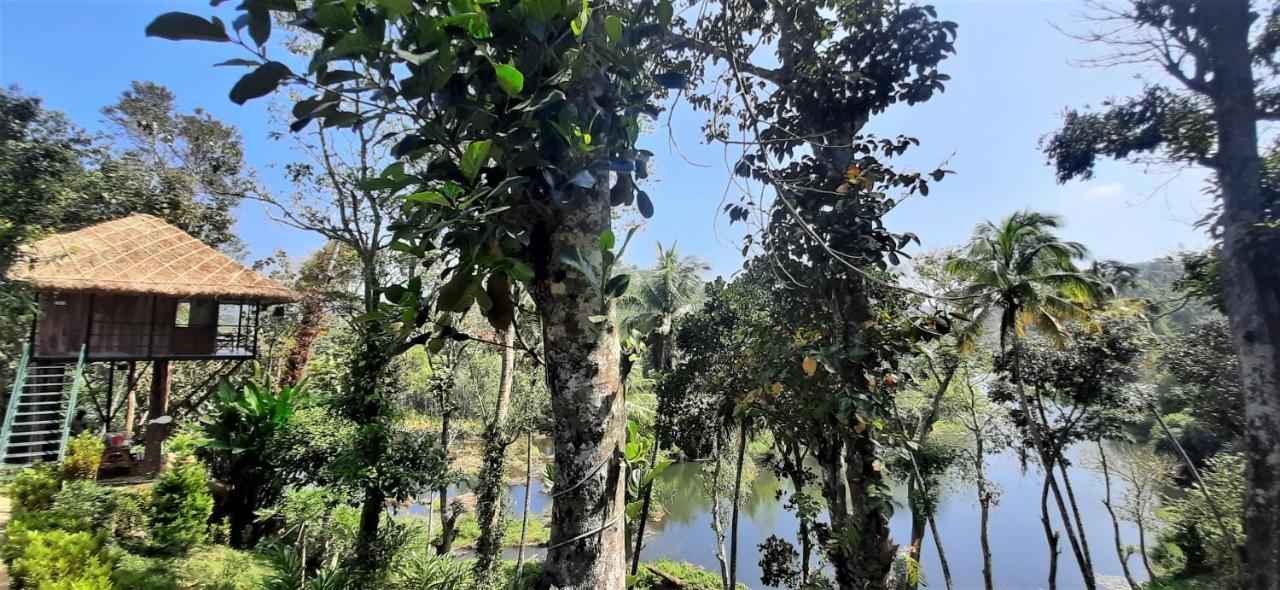 Apartmán Noah'S Nest Tree House Thekkady Exteriér fotografie