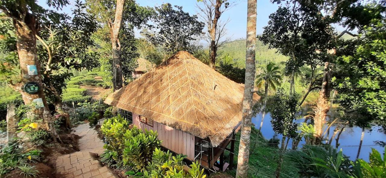 Apartmán Noah'S Nest Tree House Thekkady Exteriér fotografie