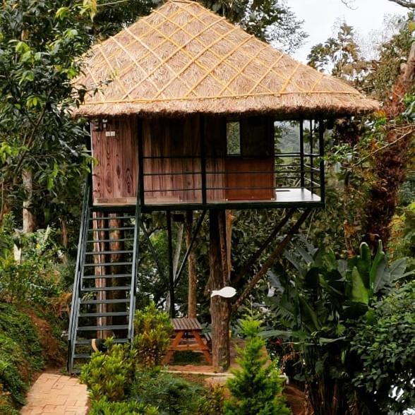 Apartmán Noah'S Nest Tree House Thekkady Exteriér fotografie