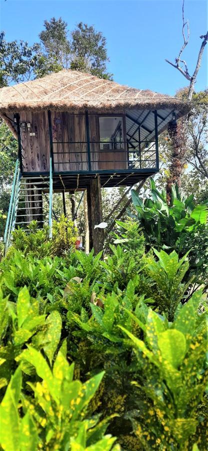 Apartmán Noah'S Nest Tree House Thekkady Exteriér fotografie