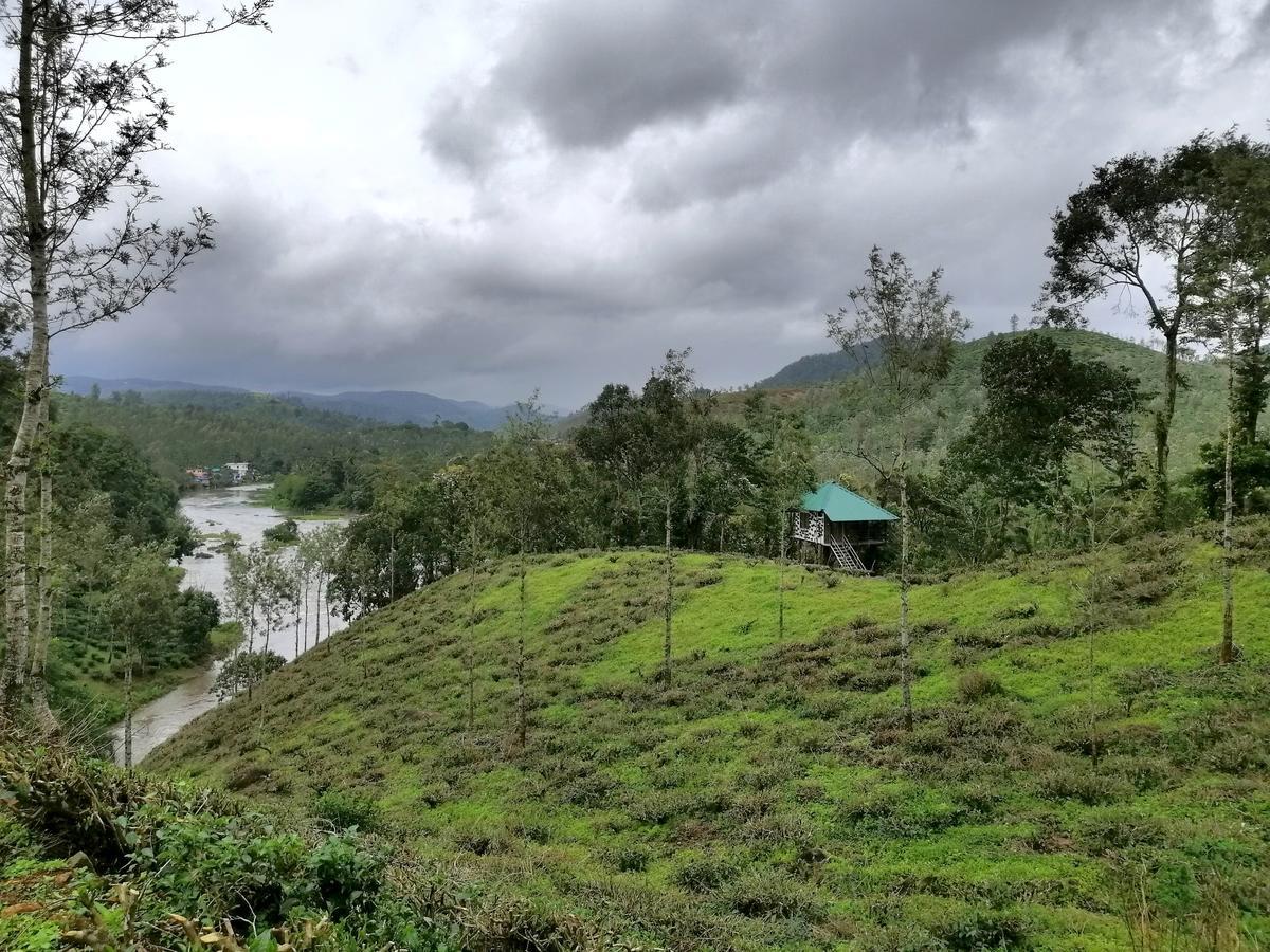 Apartmán Noah'S Nest Tree House Thekkady Exteriér fotografie