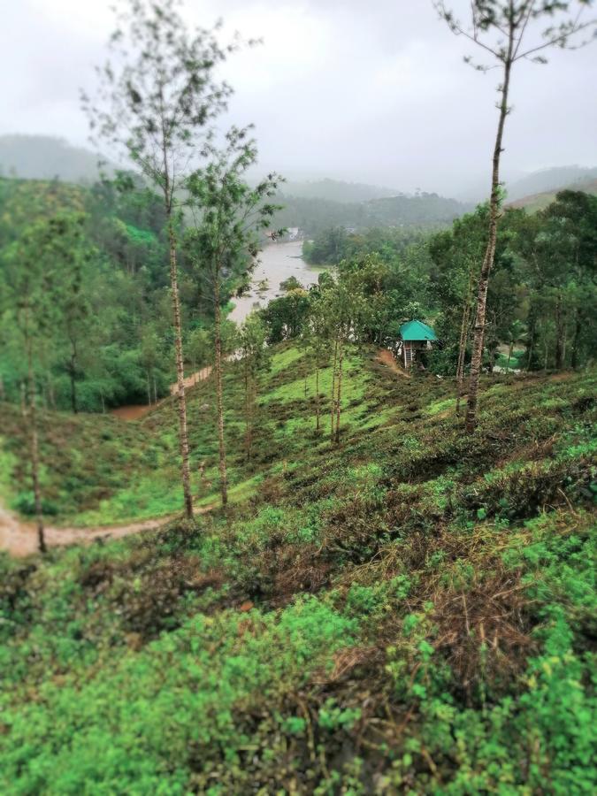 Apartmán Noah'S Nest Tree House Thekkady Exteriér fotografie