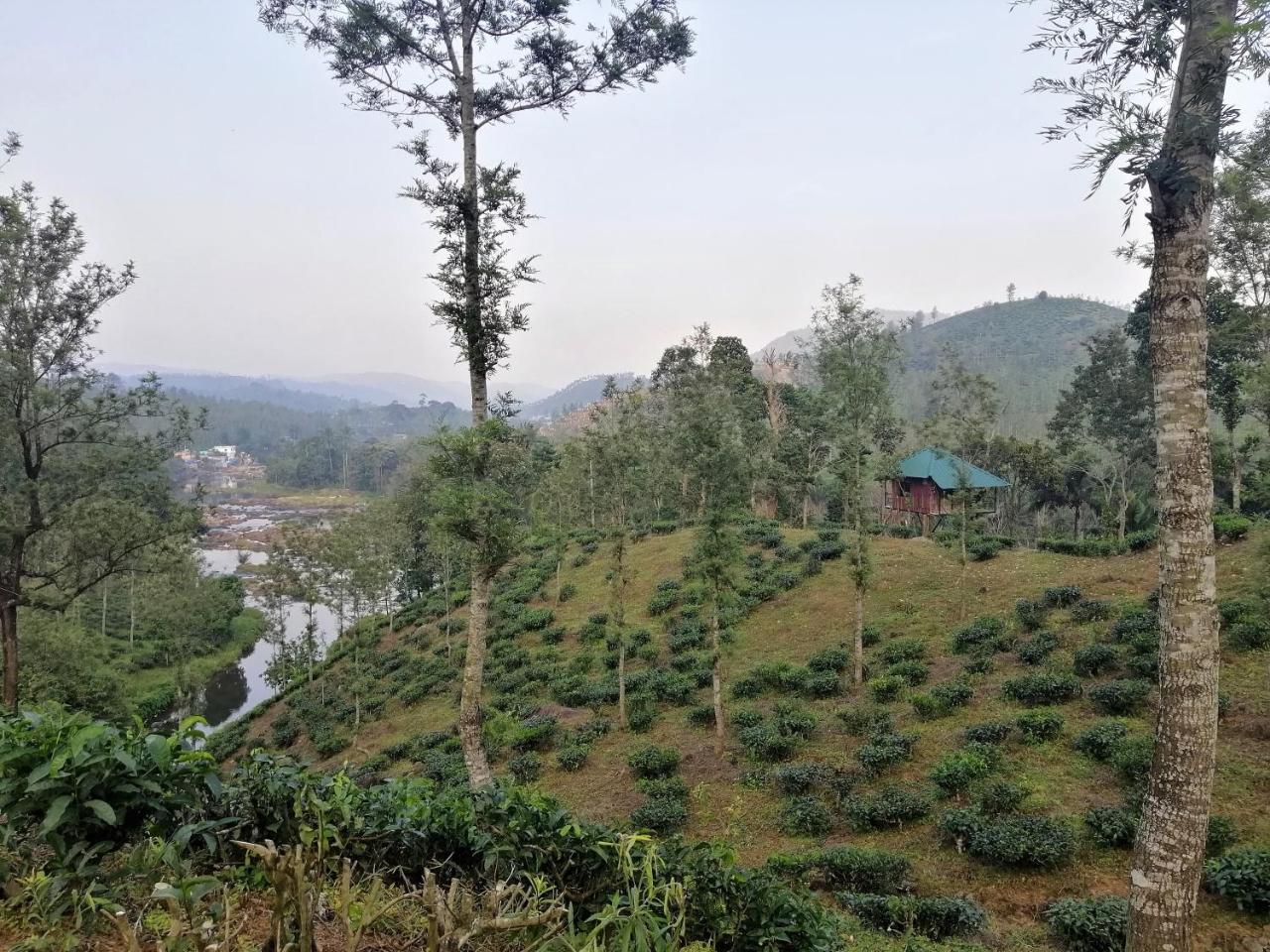 Apartmán Noah'S Nest Tree House Thekkady Exteriér fotografie