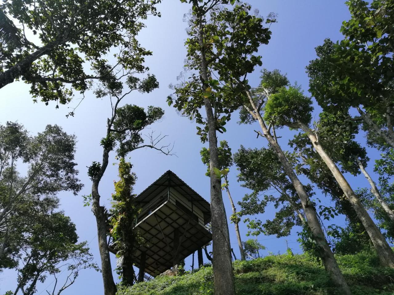Apartmán Noah'S Nest Tree House Thekkady Exteriér fotografie