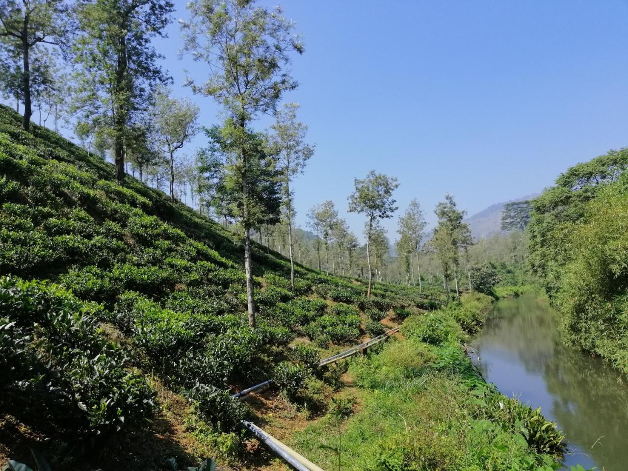 Apartmán Noah'S Nest Tree House Thekkady Exteriér fotografie