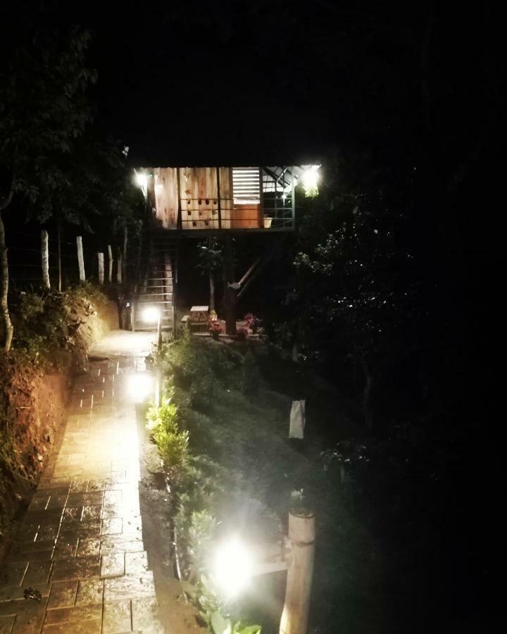 Apartmán Noah'S Nest Tree House Thekkady Exteriér fotografie