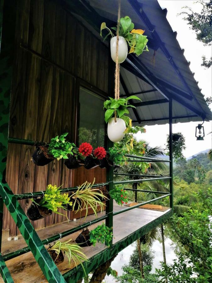 Apartmán Noah'S Nest Tree House Thekkady Exteriér fotografie